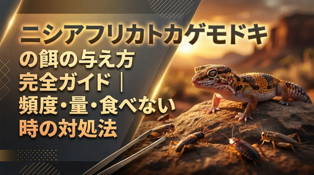 ニシアフリカトカゲモドキの餌の与え方完全ガイド｜頻度・量・食べない時の対処法